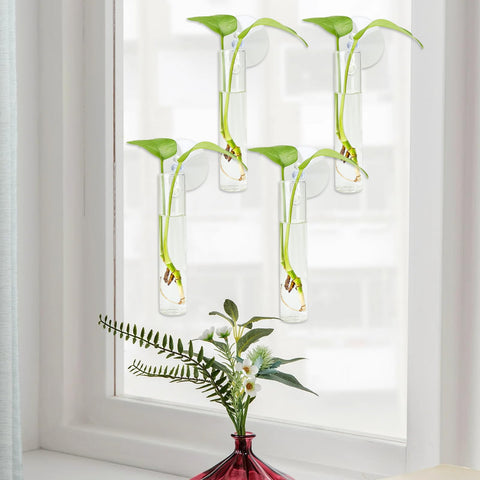 FOWSRHRG transparent wall vase set ideal for ivy and orchids