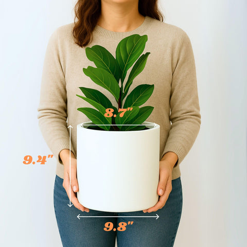 Fox & Fern pot close up shows 9.8 inch outer diameter.