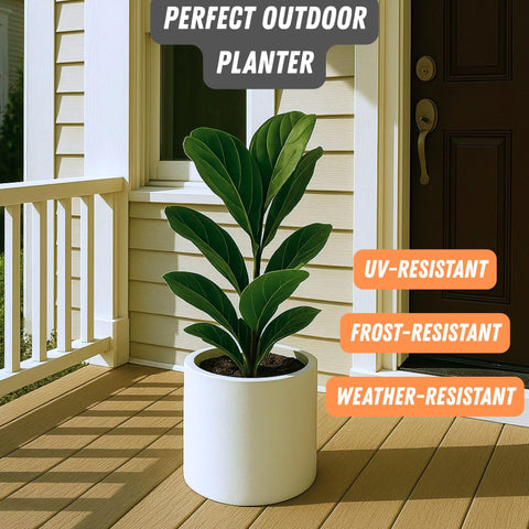 Outdoor ready Fox & Fern pot on a sunlit balcony setting.