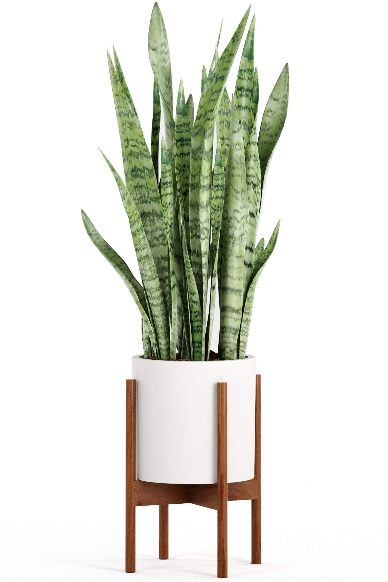 Fox and Fern interior plant display on a sturdy outdoor-ready base.