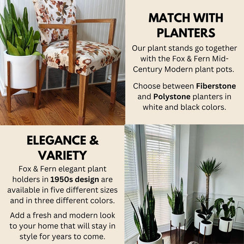 Fox and Fern mid-century style stand elevates indoor plants elegantly.