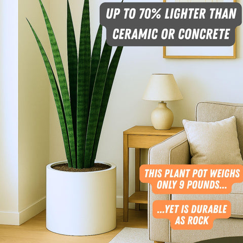 Fox & Fern 15-inch planter in indoor living space demonstrates balanced size.