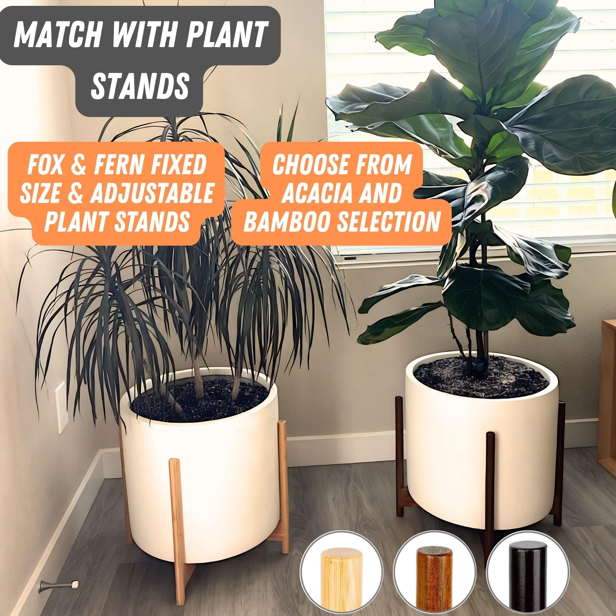 Fox & Fern planter on acacia or bamboo stand elevates décor.