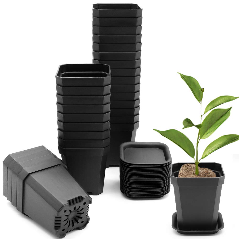 foxany 3-inch nursery pot front view, sturdy 30-pack for seed starting