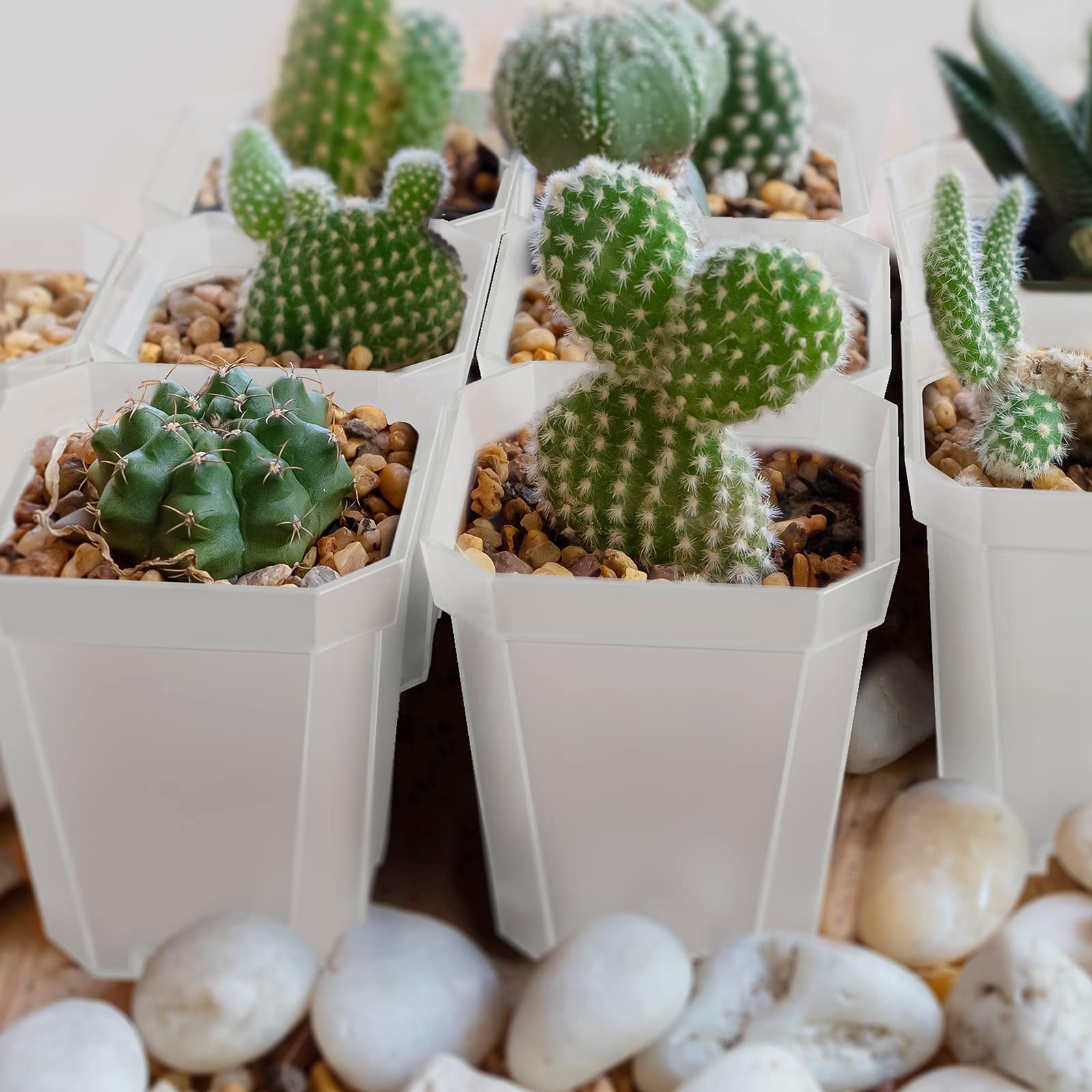 foxany garden starter pot set suitable for seedlings