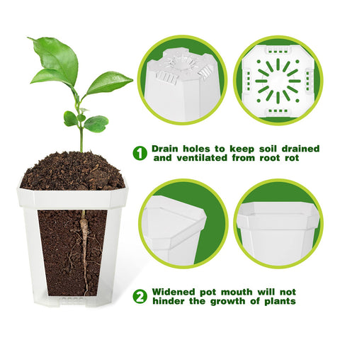 foxany thick plastic seedling pot 30pcs durable for reuse