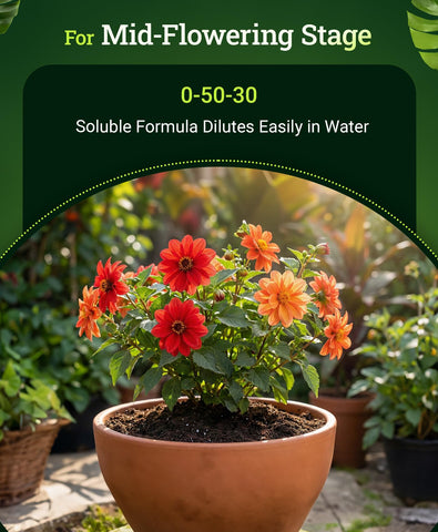Beastie Bloomz dissolves easily in water for smooth nutrient delivery.
