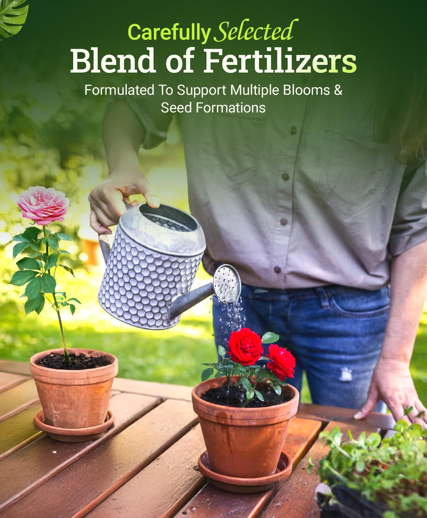 FoxFarm Big Bloom bat guano blend provides natural nutrient boost