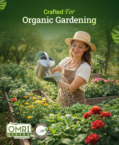 FoxFarm Big Bloom on flowering and fruiting plants shows vibrant blooms and fruiting potential.