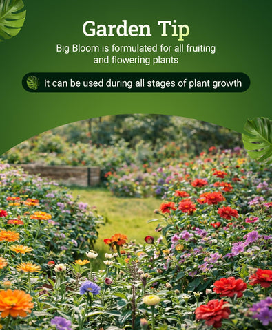 FoxFarm Big Bloom promotes flowering and fruiting in a thriving garden