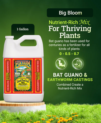 FoxFarm Big Bloom label close-up highlights organic nutrients and earthworm castings.