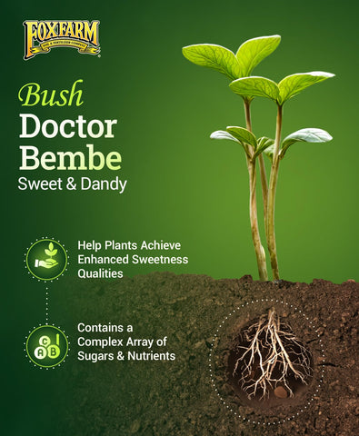 Close-up of FoxFarm Bush Doctor Bembé Sweet & Dandy label showing the nutrient blend.