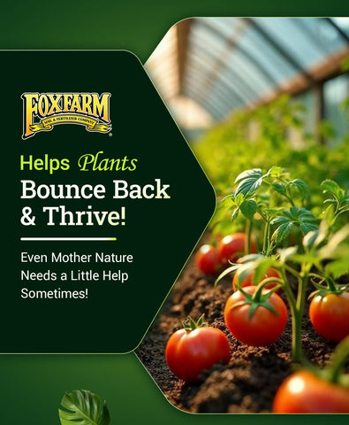 FoxFarm Bush Doctor Boomerang dilution mix shows simple weekly application for gardens