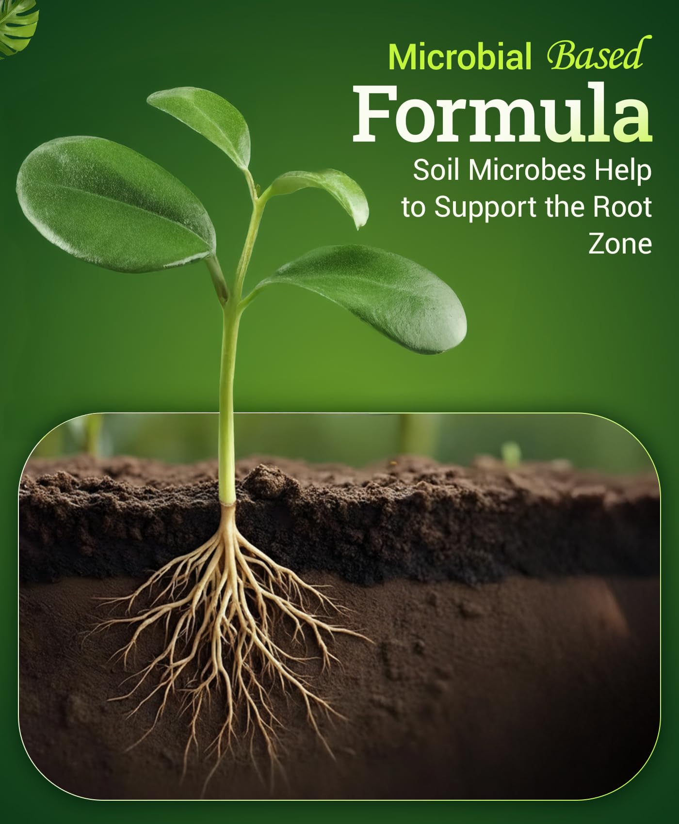 FoxFarm Bush Doctor Boomerang root-zone focus supports healthier root systems