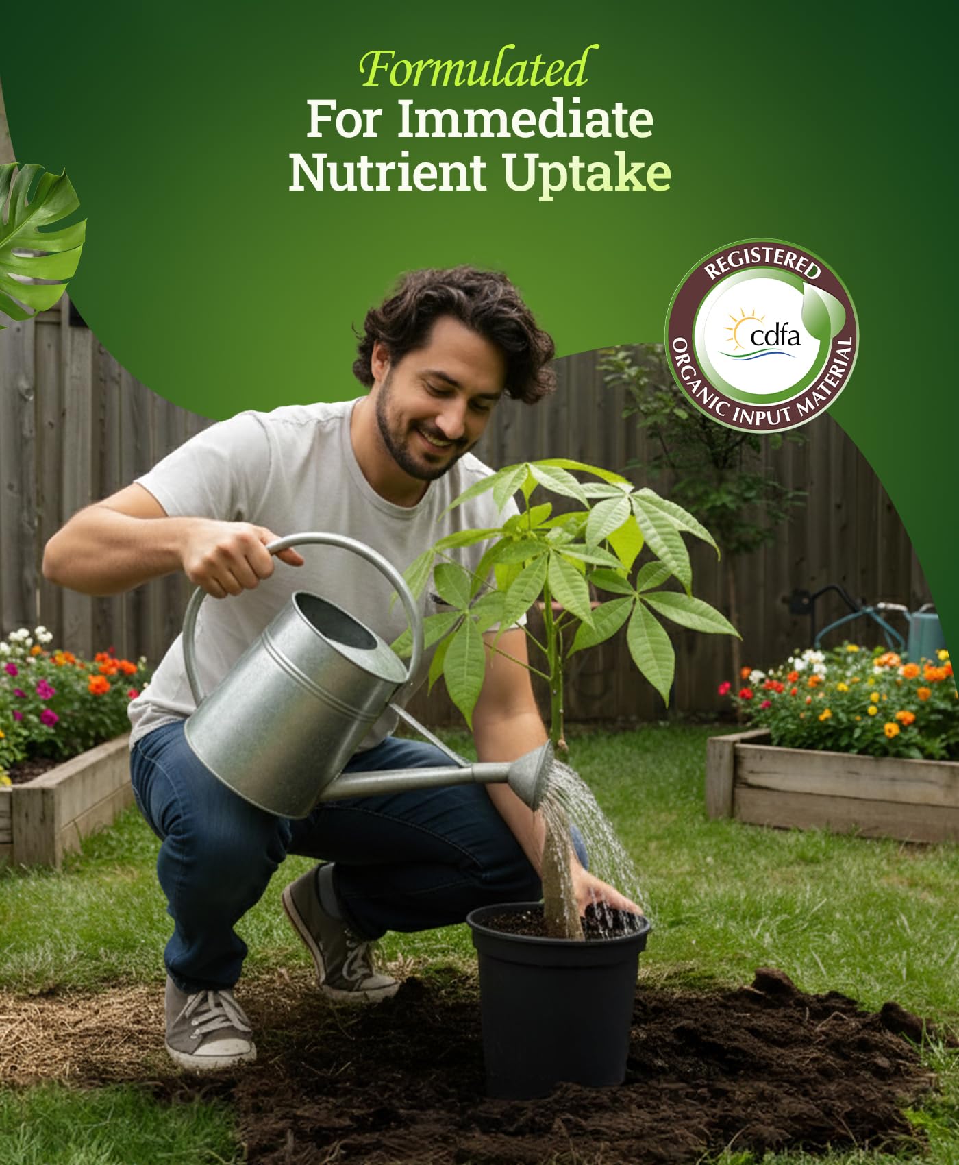 FoxFarm Bush Doctor Kelp Me Kelp You hydroponics scene suggests versatile nutrient delivery.