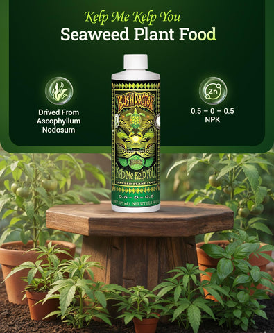 FoxFarm Bush Doctor Kelp Me Kelp You label closeup highlighting organic seaweed ingredients.