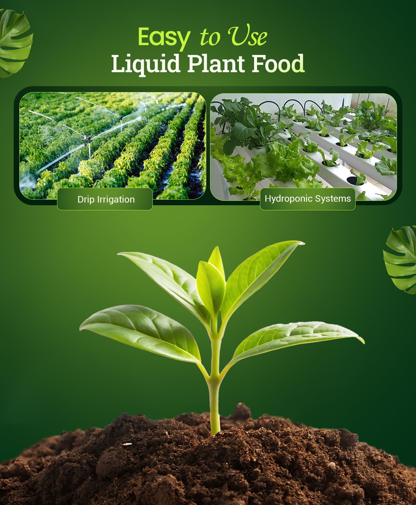 FoxFarm Bush Doctor Kelp Me Kelp You texture showcases nutrient-rich kelp formula.