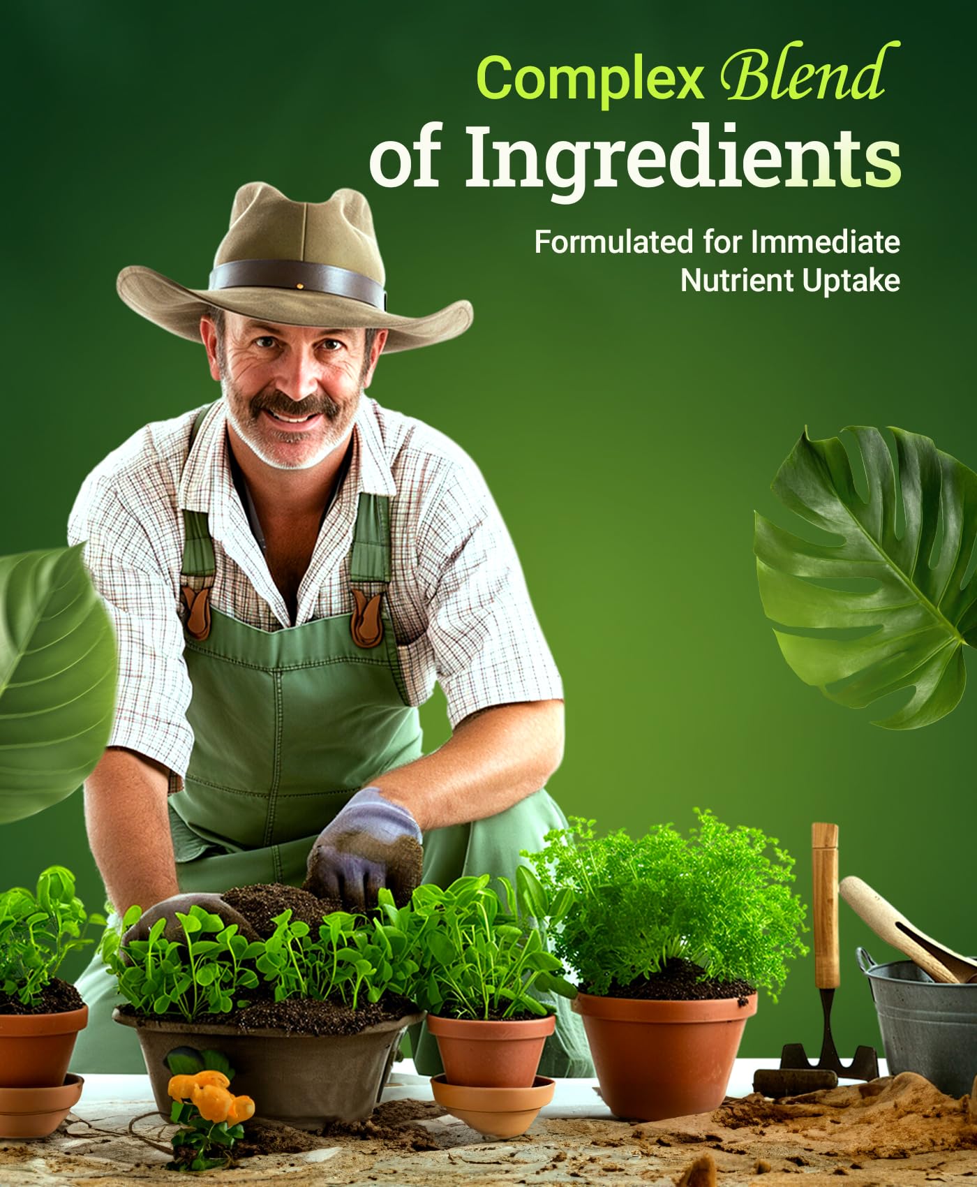 Hydroponics setup with Microbe Brew supports microbial balance for healthy roots.