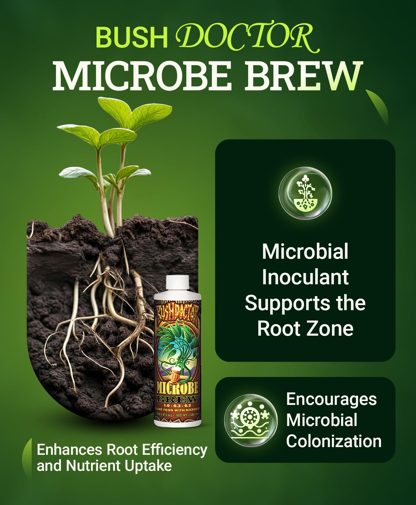 Pouring FoxFarm Microbe Brew to soil shows an easy root-boosting application.