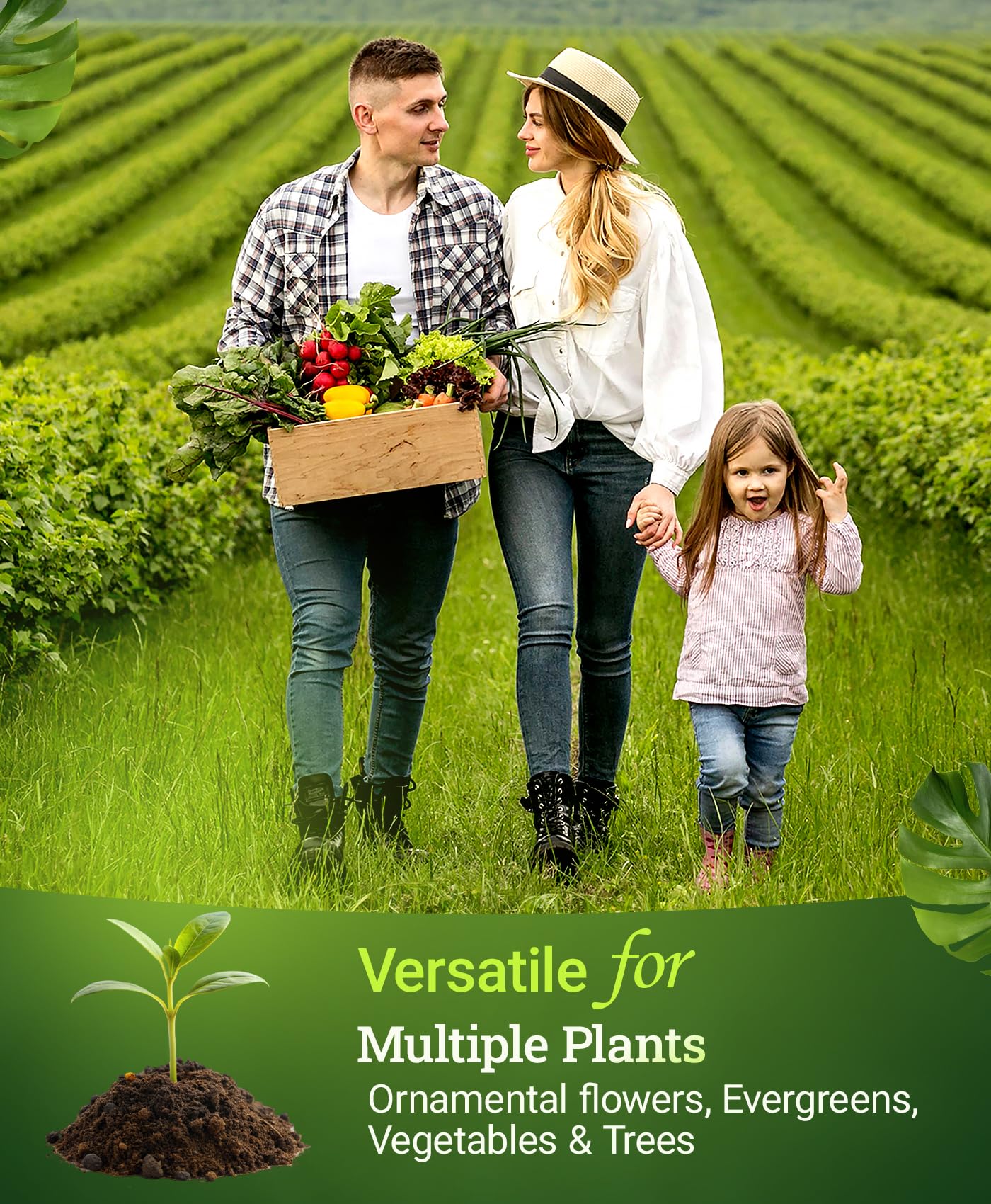 Root-zone focus image highlights enhanced nutrient uptake for flowering and fruiting.