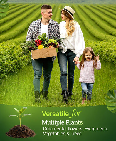 Root-zone focus image highlights enhanced nutrient uptake for flowering and fruiting.