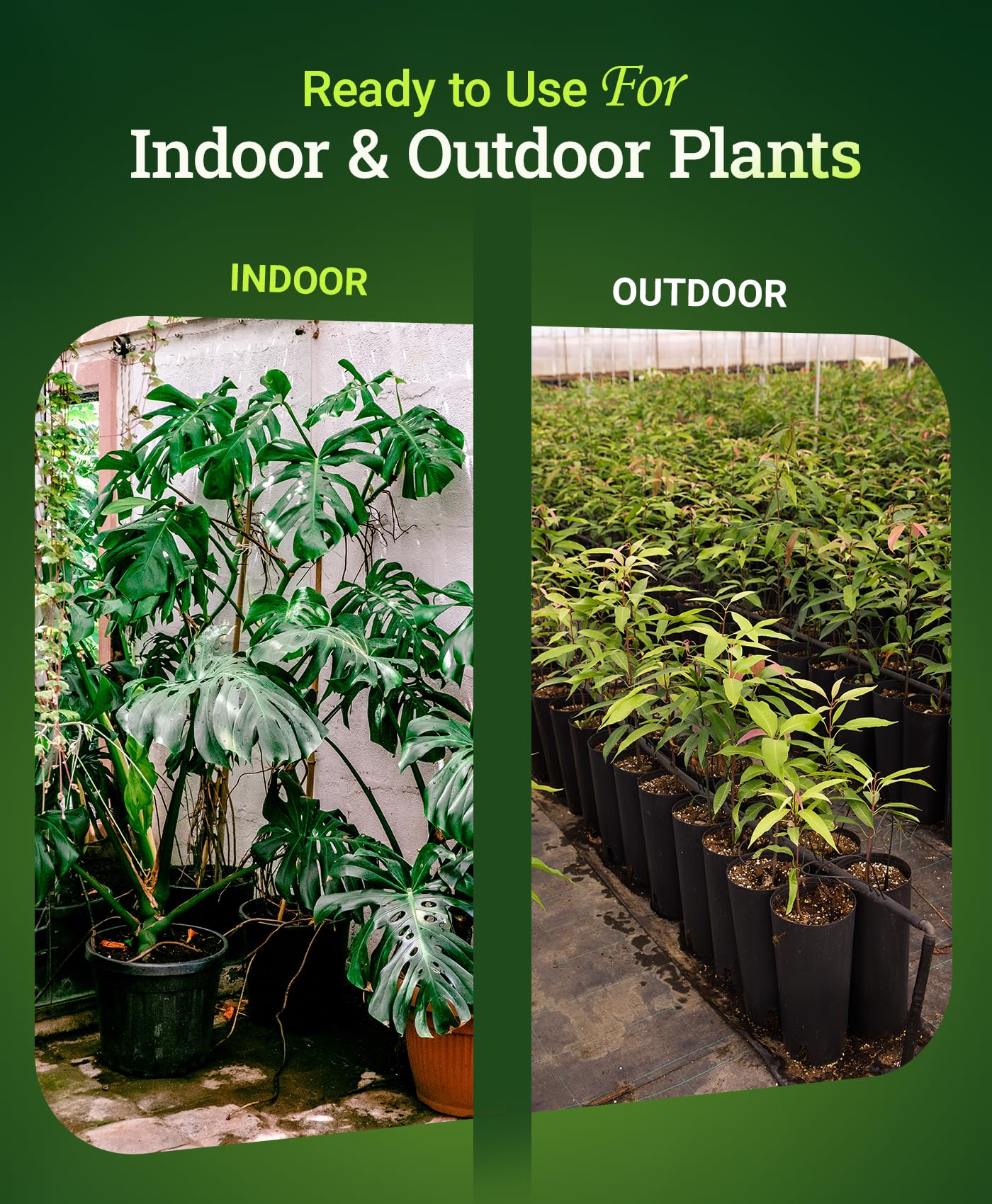FoxFarm container planting setup ideal for indoor and outdoor greenery.