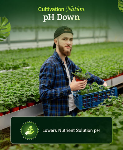FoxFarm Cultivation Nation pH Down pour cap demonstrates easy dosing for precise pH control.