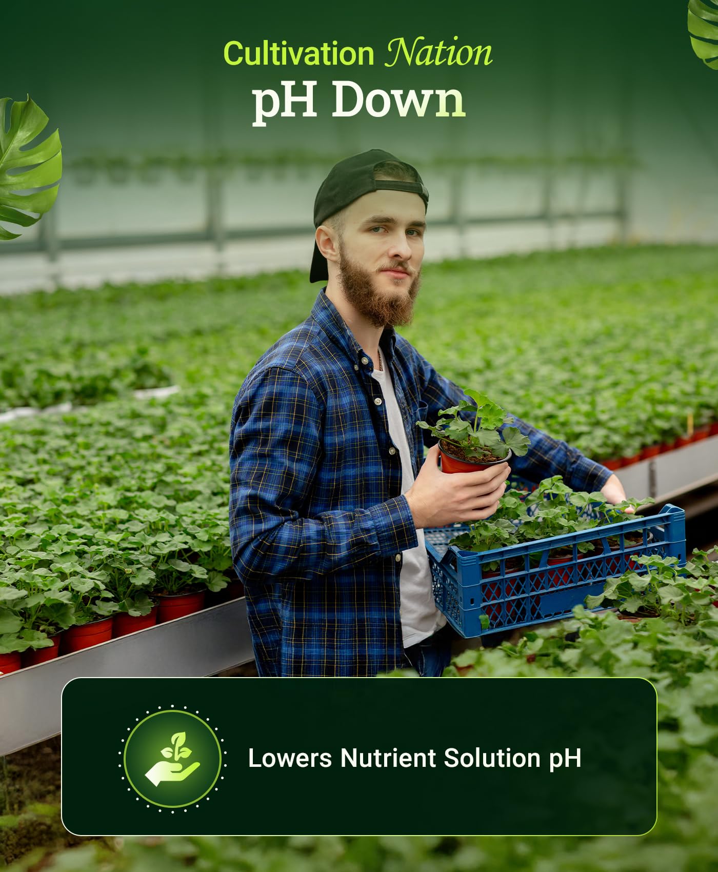 FoxFarm Cultivation Nation pH Down uses citric acid to lower pH safely.