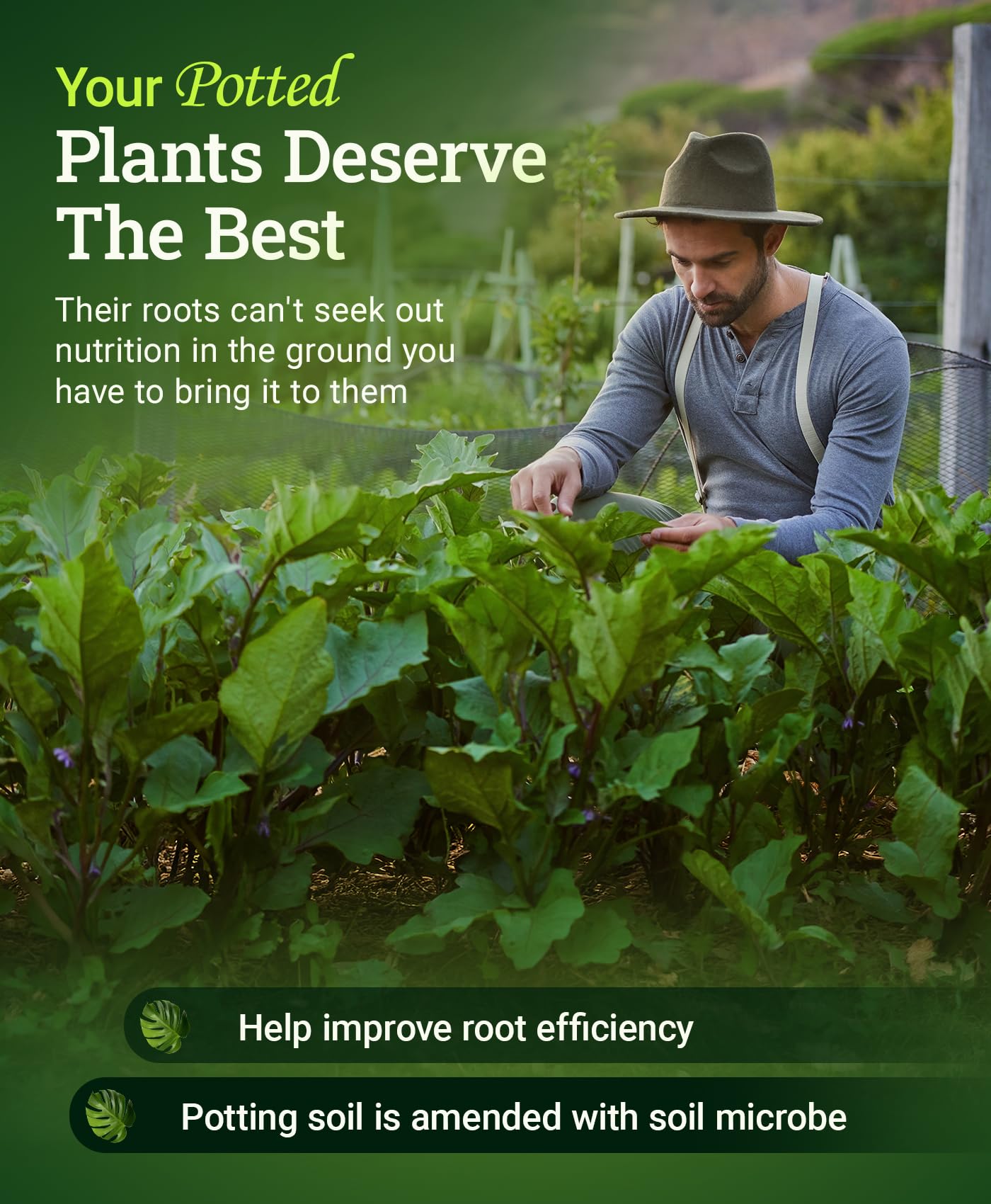 FoxFarm soil with earthworm castings and bat guano nourishes plants over time.
