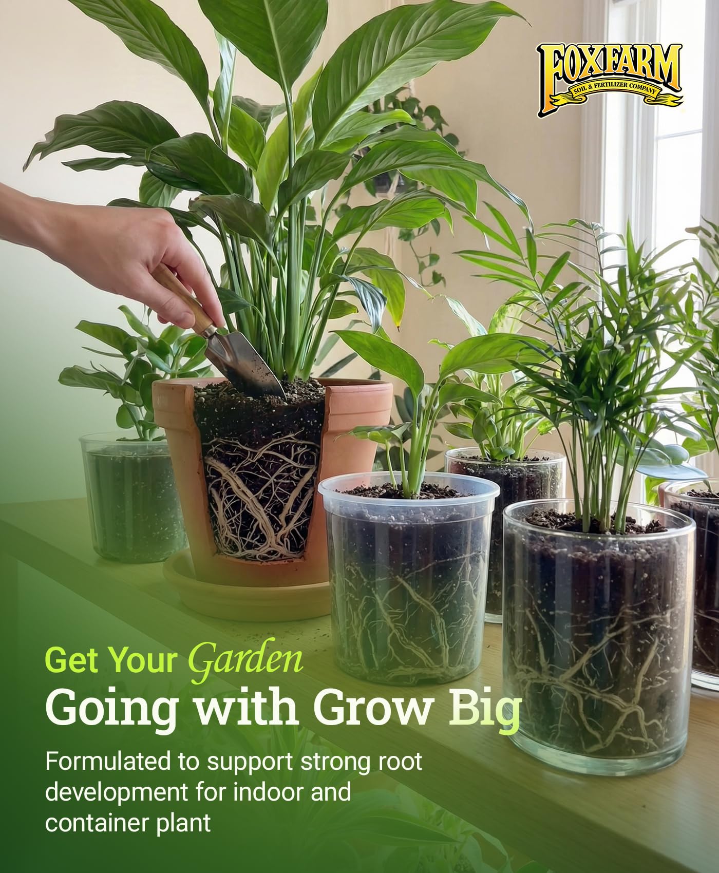 FoxFarm Grow Big foliar application promotes even leaf nutrition