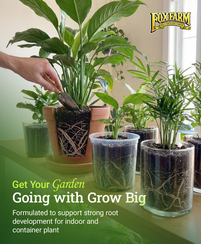 FoxFarm Grow Big liquid plant food leaf closeup displaying healthy foliage