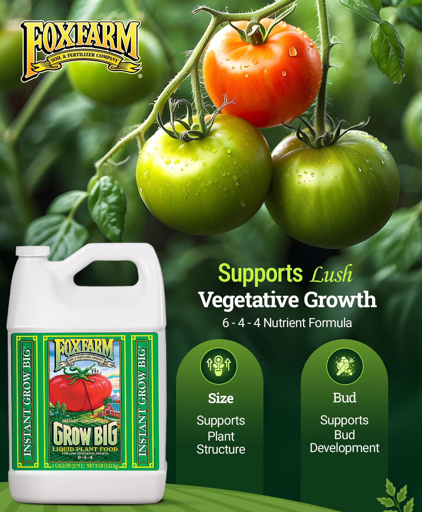 FoxFarm Grow Big lush growth highlights strong vegetative vigor on house plants