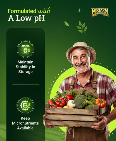 FoxFarm Grow Big used on tomatoes and roses indicating robust growth and bloom potential