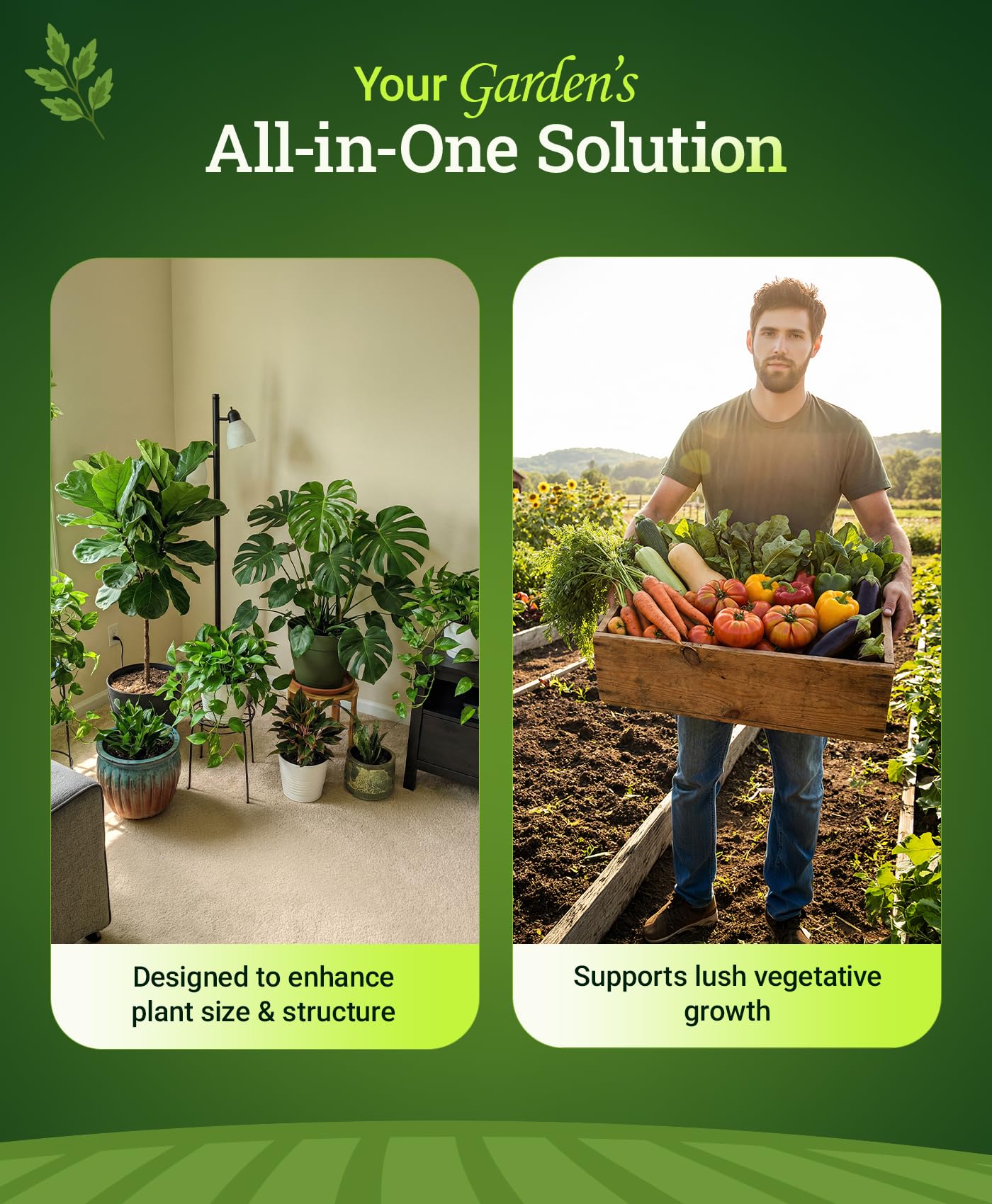 FoxFarm Grow Big in a vegetable garden enabling easy feeding for veggies