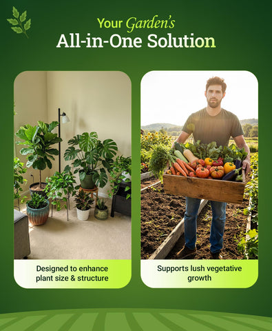 FoxFarm Grow Big in a vegetable garden enabling easy feeding for veggies