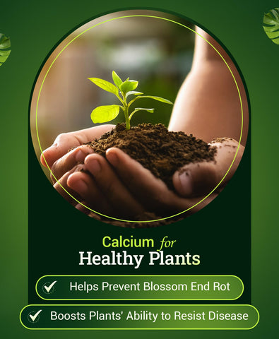 Healthy fruit development with Happy Frog fertilizer for busy gardeners.