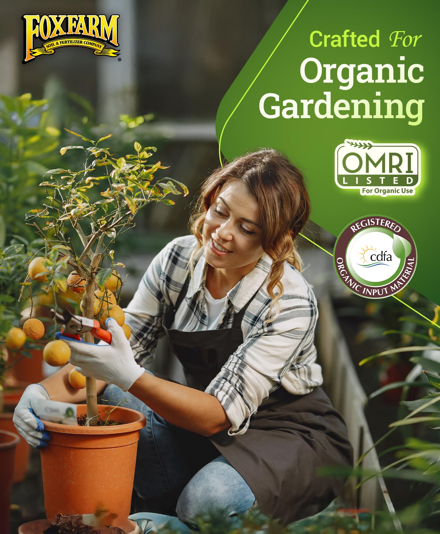 Versatile use in container gardens and outdoor beds.