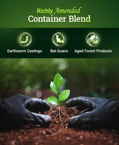 FoxFarm Happy Frog microbes blend enhances root efficiency and nutrient uptake.