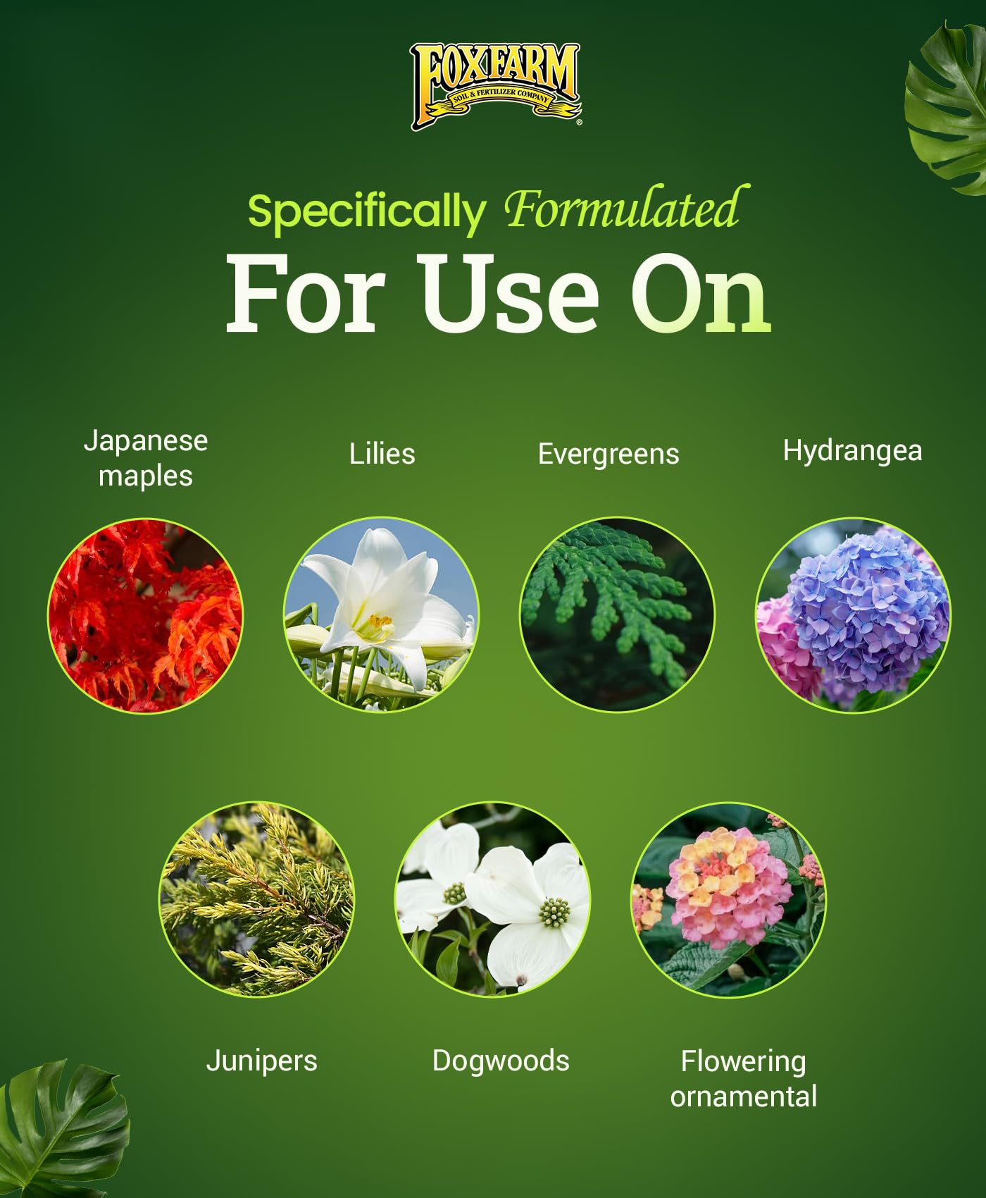 FoxFarm Happy Frog soil life illustration with root uptake benefits