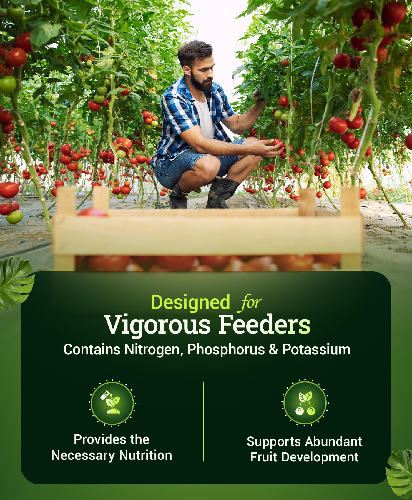 FoxFarm Happy Frog 5-7-3 granules deliver balanced nutrition for steady growth.