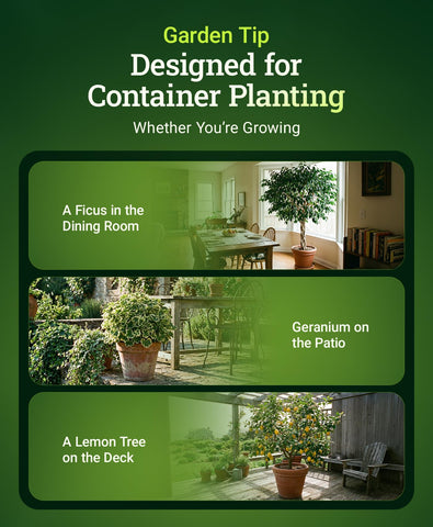 FoxFarm Happy Frog ideal for containers promotes easy, healthy growth.