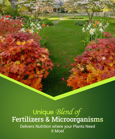 FoxFarm Happy Frog strong branches on ornamental tree with fertilizer