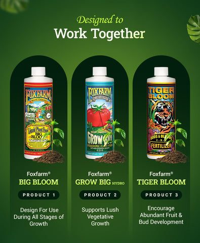 FoxFarm Hydro Liquid Trio ready-to-use plant feed for steady growth in setup