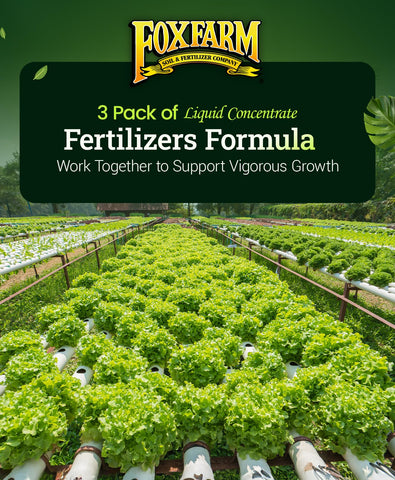 FoxFarm Hydro Liquid Trio hydroponic setup bottle illustrating balanced plant nutrition