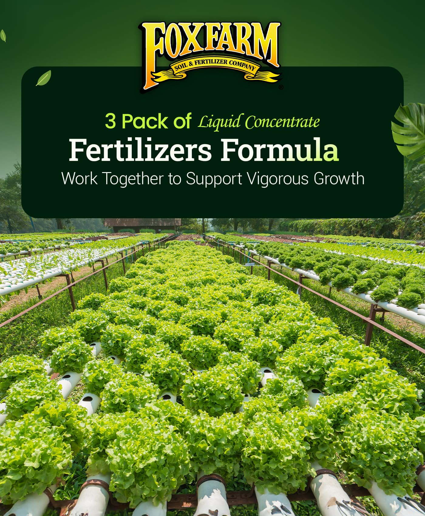 FoxFarm greenhouse-tested-formula emphasizes consistency and reliability across greenhouse-grown crops.