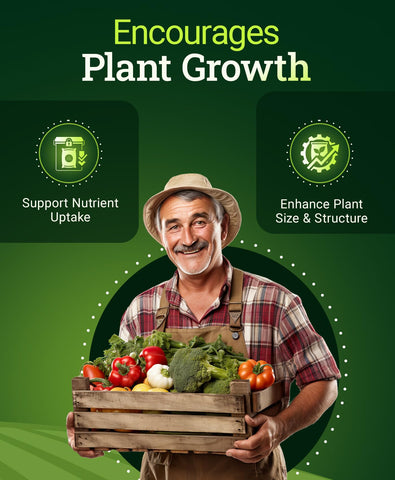 FoxFarm Tiger Bloom bottle supports immediate nutrient availability for flowering and fruiting in hydro setups.