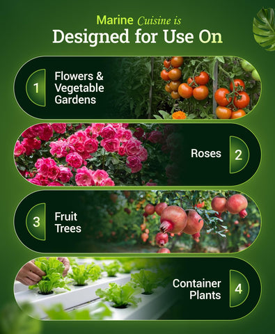 Roses and ornamental plants benefited by balanced, slow-release feeding.