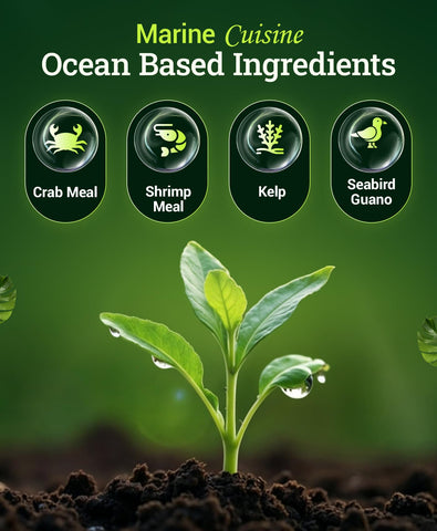 Sprinkling FoxFarm Marine Cuisine on soil to nourish vegetables and flowers.
