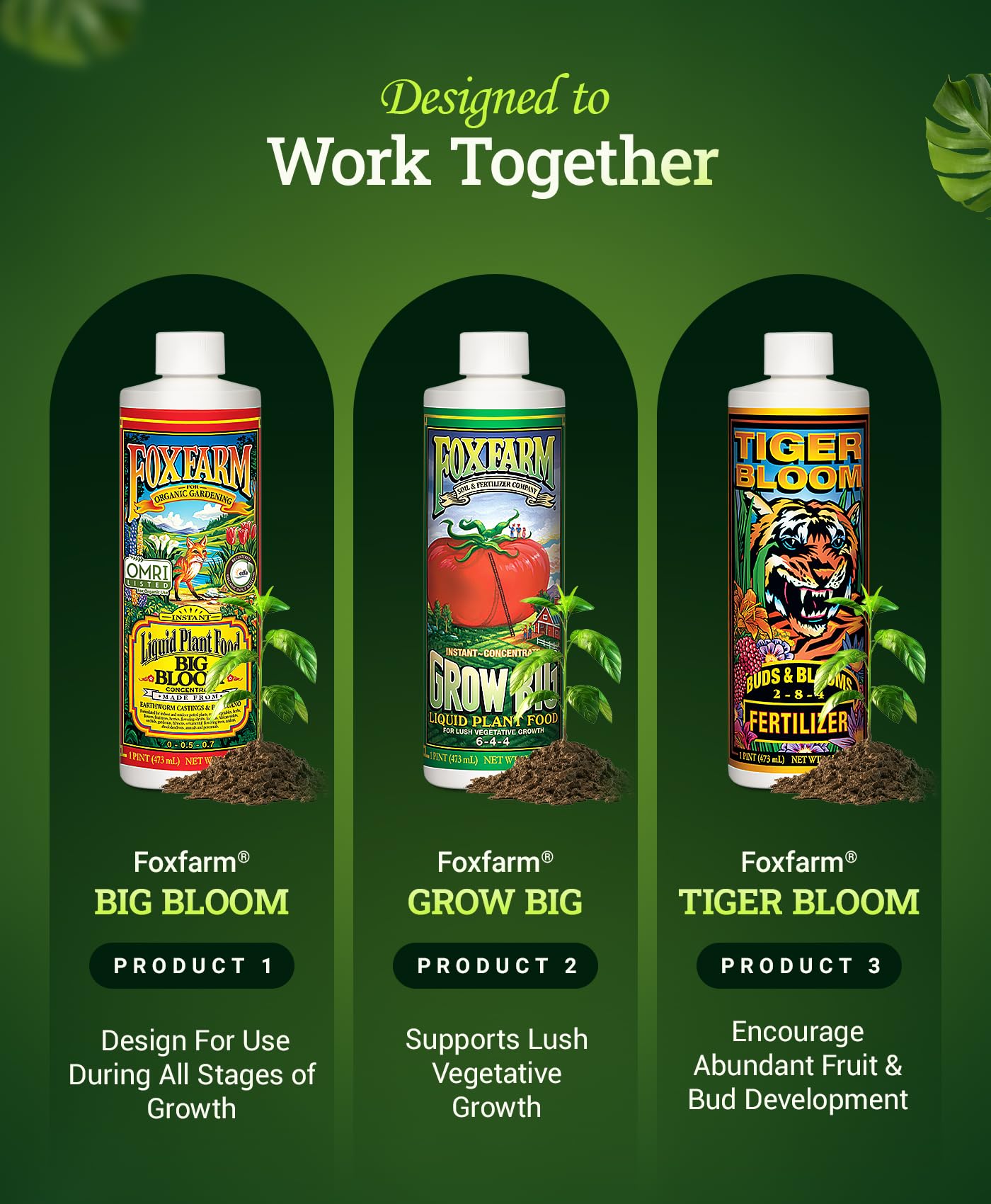FoxFarm Grow Big application on tomatoes showing nutrient delivery during growth