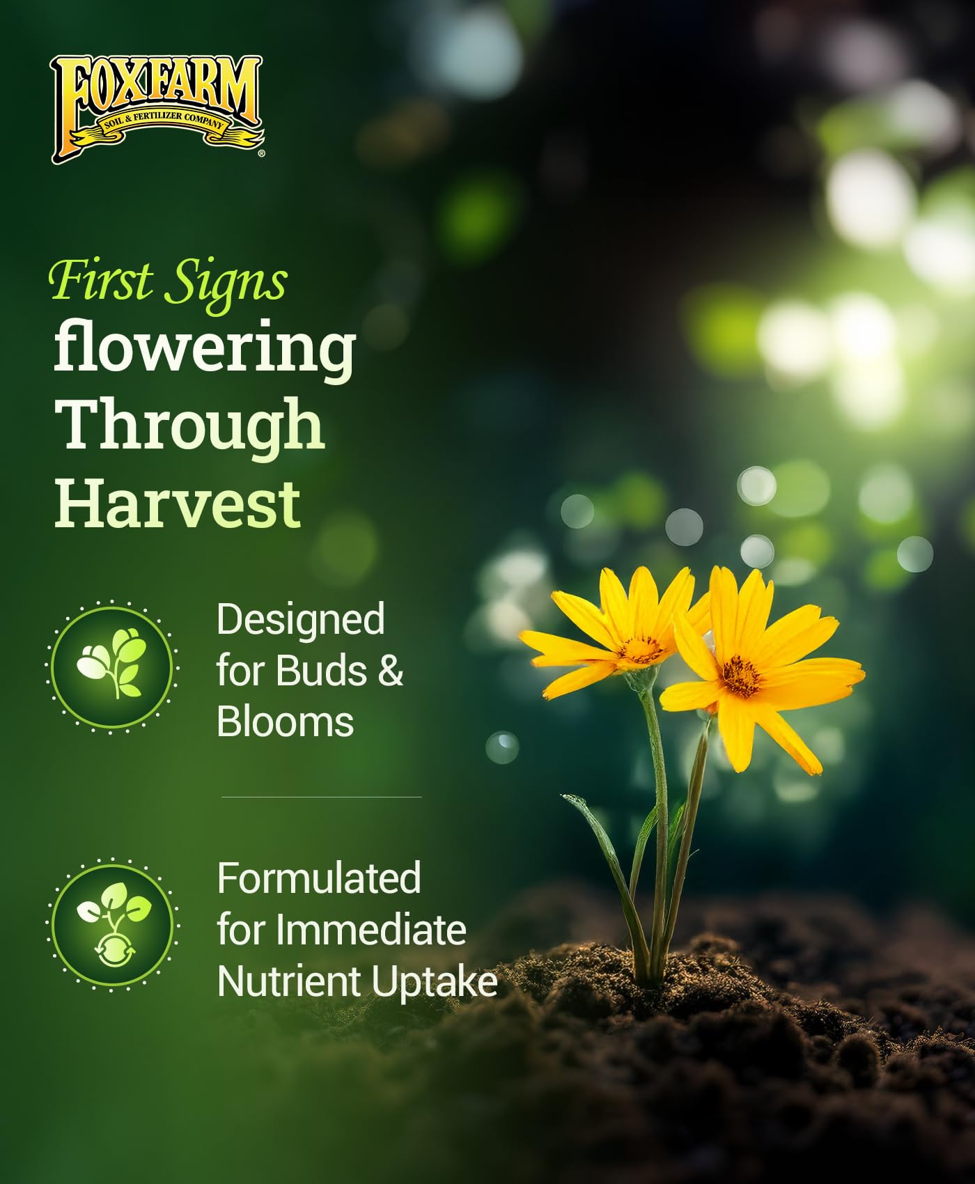FoxFarm Soil Liquid Trio collection shows complete plant nutrition set.